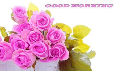 GOOD MORNING GOOD MORNING