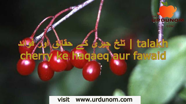 تلخ چیری کے حقائق اور فوائد | talakh cherry ke haqaeq aur fawaid
