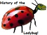 <b>History of the Ladybug</b>