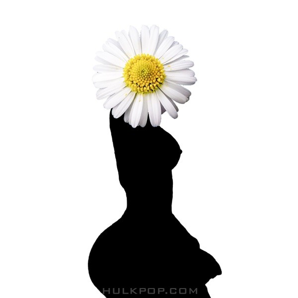 Festy Wxs – Daisy – Single