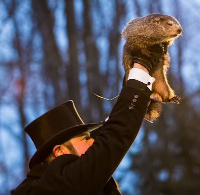 man in top hat holding up groundhog