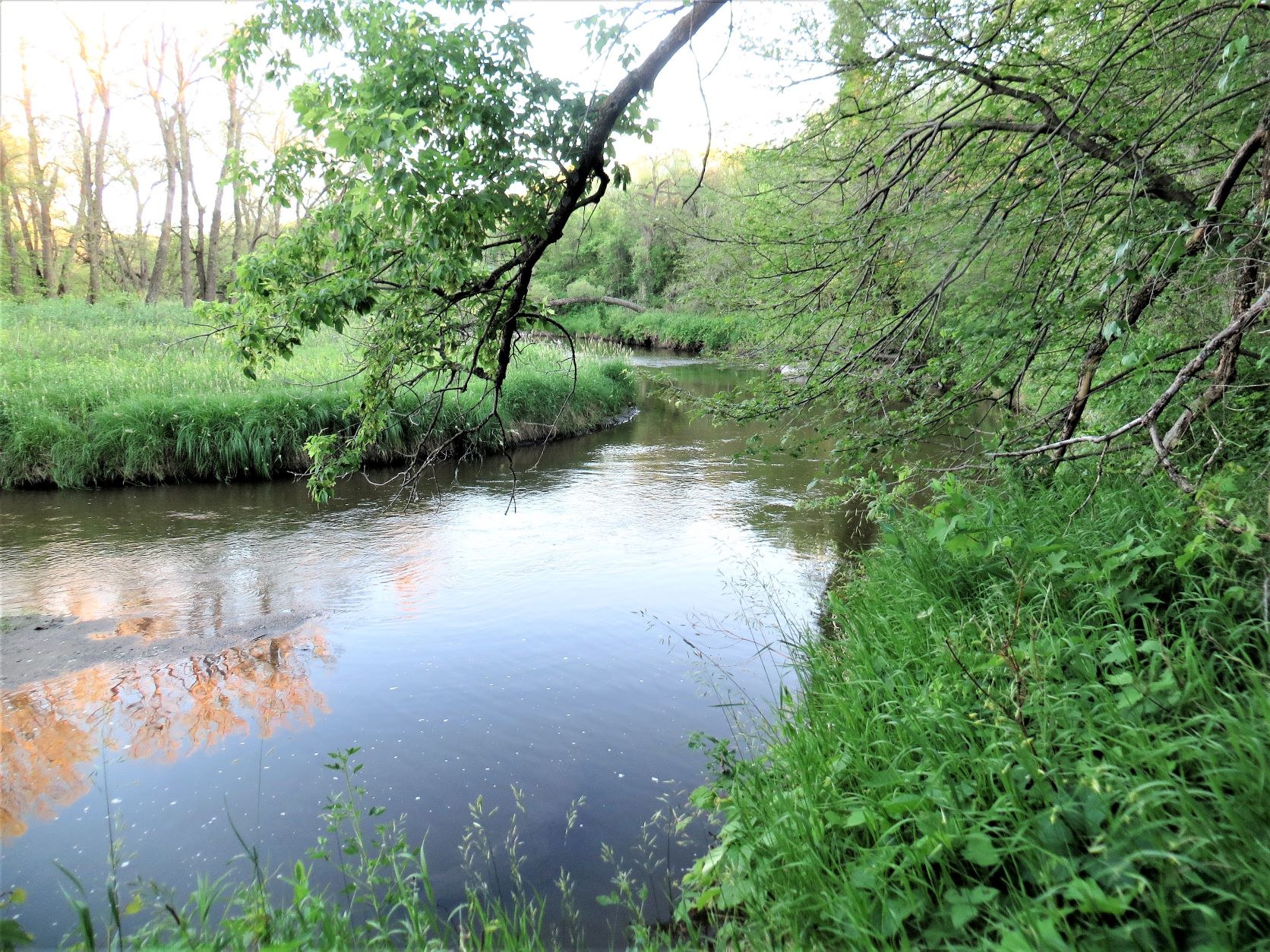 Travel Bug Buffalo River State Park in Glyndon, Minnesota Sunday, June 13, 2021