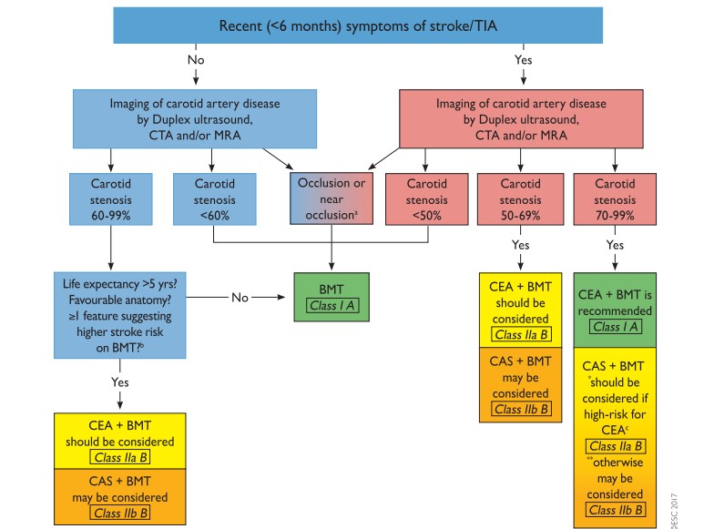Vascular Mind SYMPTOMATIC CAROTID ARTERY DISEASE ESVS GUIDELINES