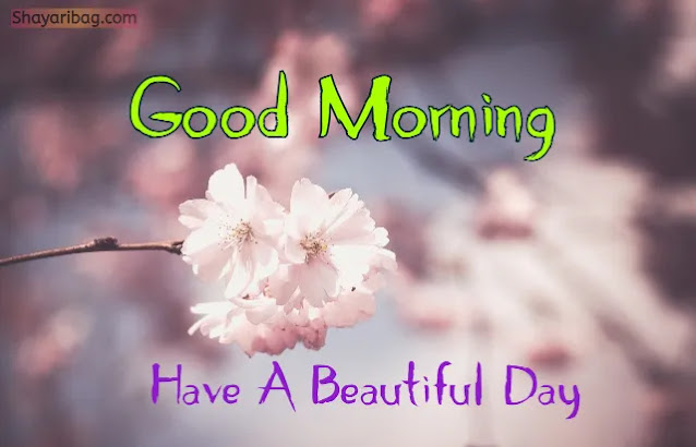 Good Morning Images Good Morning Images