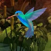 BigEscapeGames-Doctor Bird Forest Escape game