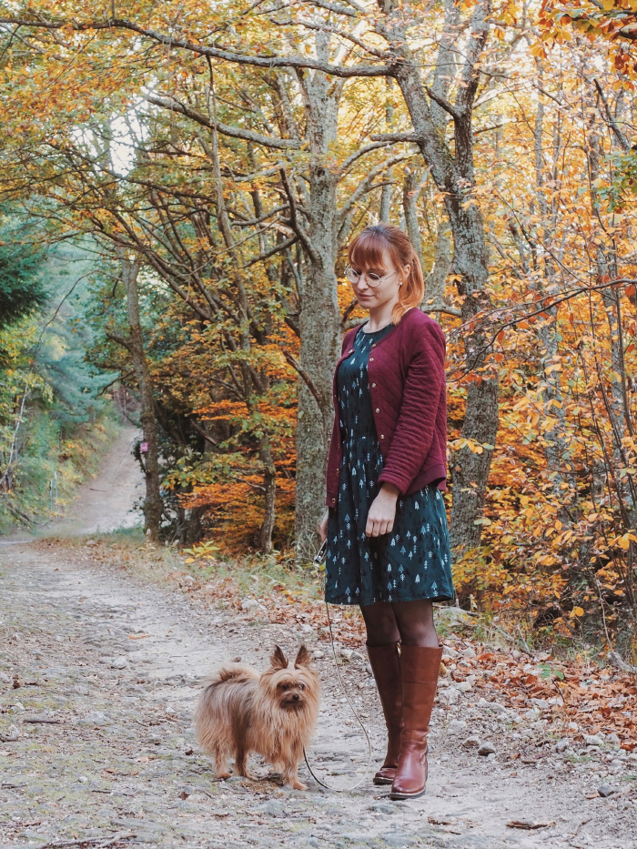 Promenade en forêt à l'automne