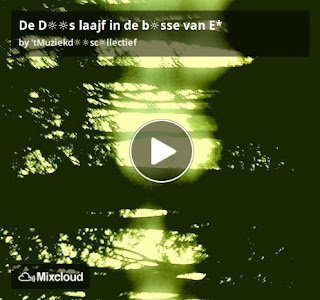 https://www.mixcloud.com/straatsalaat/de-ds-laajf-in-de-bsse-van-e/