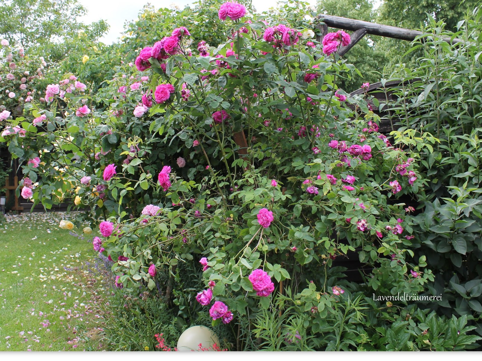 Gunstig Gartnern Mein Garten