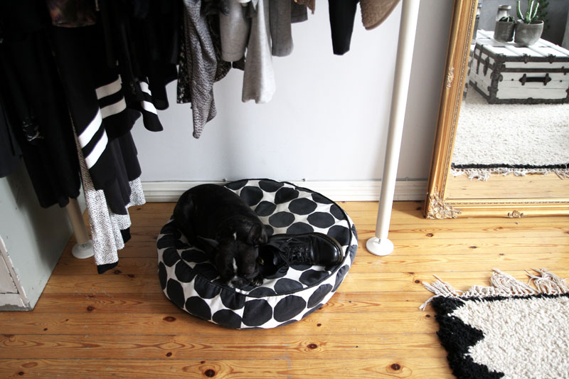 Burro blanco para un vestidor Suelo de madera para un vestidor