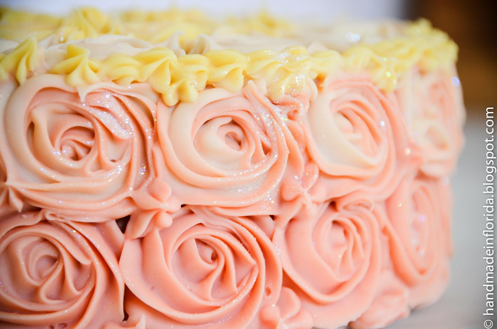 Strawberry Lemon Ombre Rose Cake Handmade in Florida
