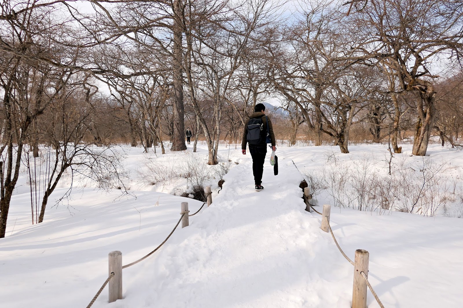 【東京近郊】栃木縣日光｜冬遊雪地世界的戰場之原，結冰震撼的華嚴瀑布