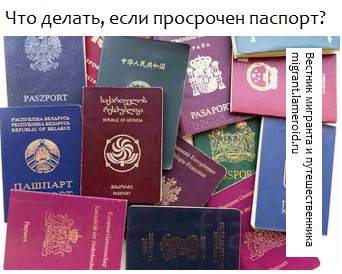 Что делать, если время карантина у иностранца просрочился паспорт?