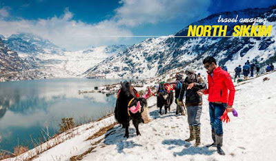North Sikkim Tour with NatureWings