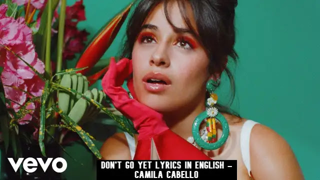 Don't Go Yet Lyrics In English - Camila Cabello