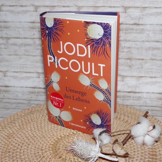 Jodi Picoult - Umwege des Lebens