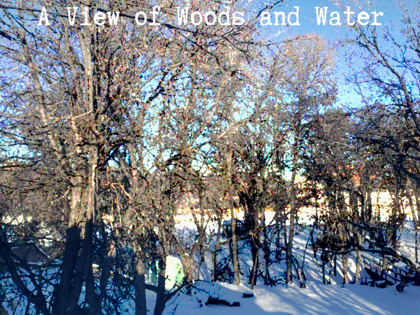 A View Of Woods And Water