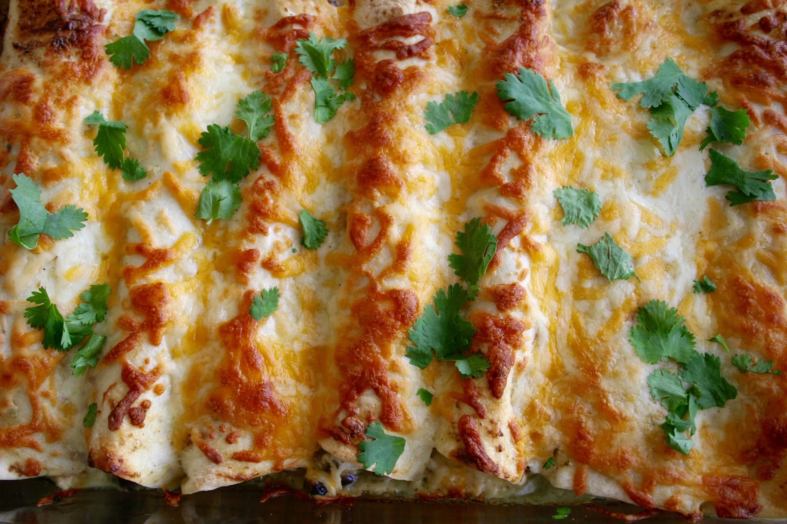 Ranch Chicken Enchiladas