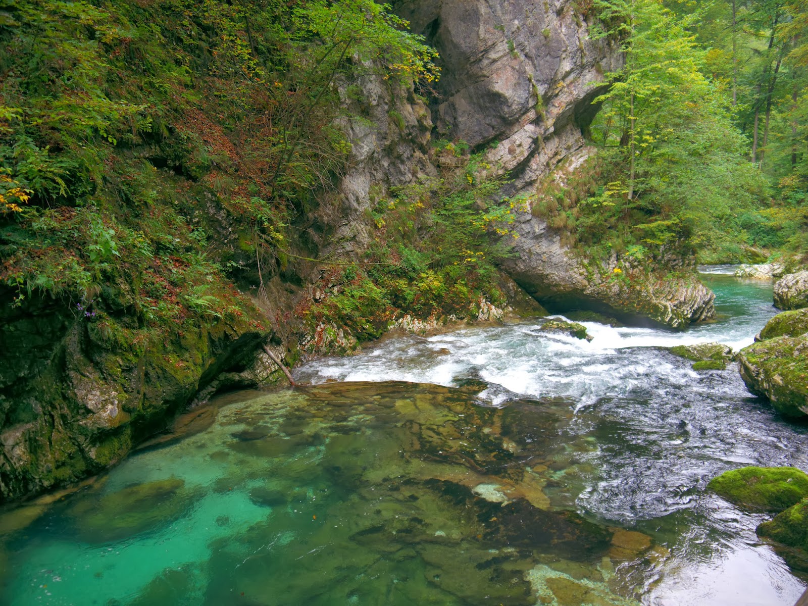 Nature in Slovenia - Vintgar Gorge