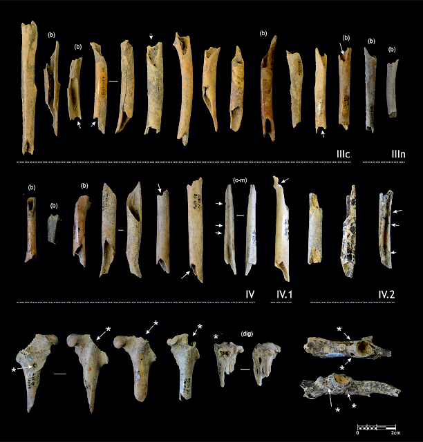 Findings in Cova Foradada change map of Iberian Neanderthal cultures