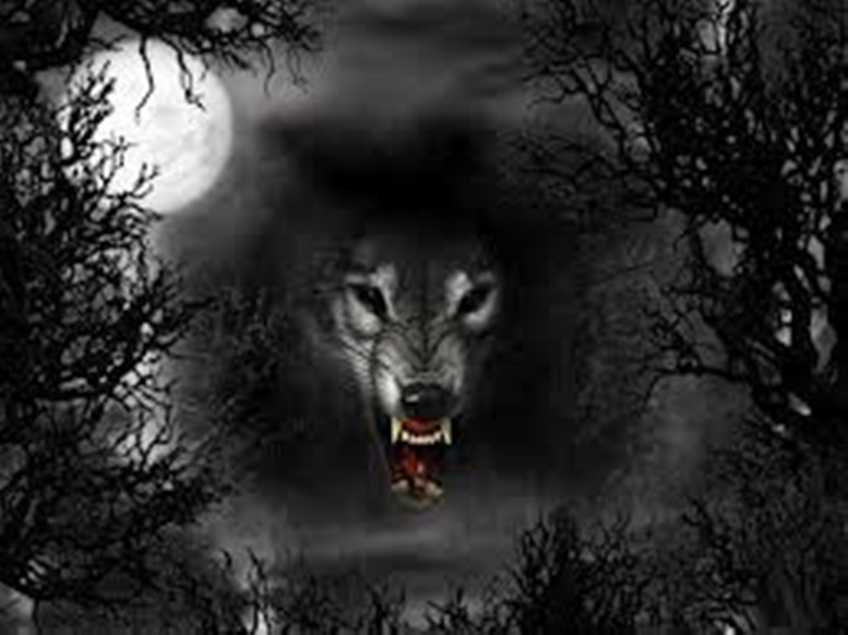 La Maldicion Del Hombre Lobo La Historia Detras De Esta