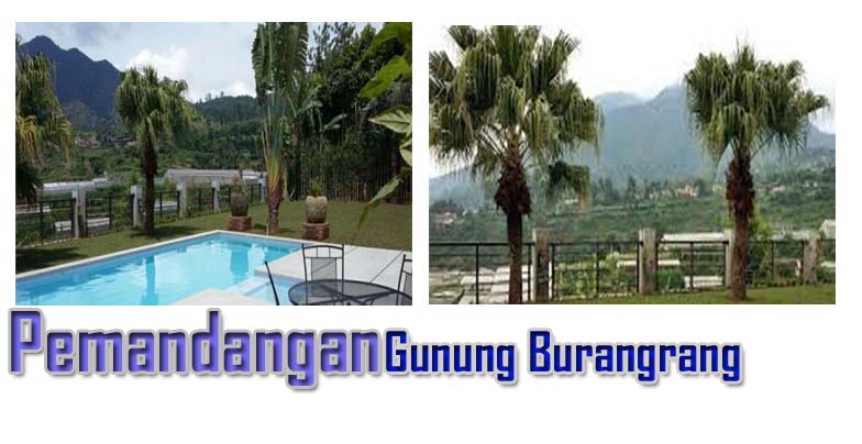 Villa Flojo Istana Bunga Private Kolam Renang Paling Top