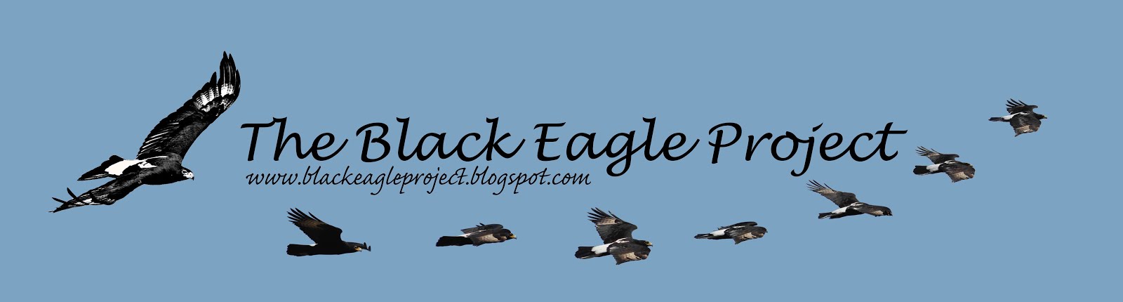 The Black Eagle Project