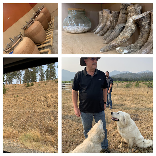 collage of Troon vineyards with Craig Camp