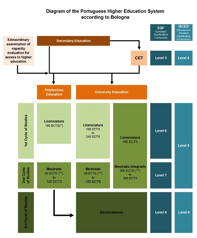 Qual a importância do repertório cultural para o desenvolvimento das crianças? Qual a importância do repertório cultural para o desenvolvimento das crianças?