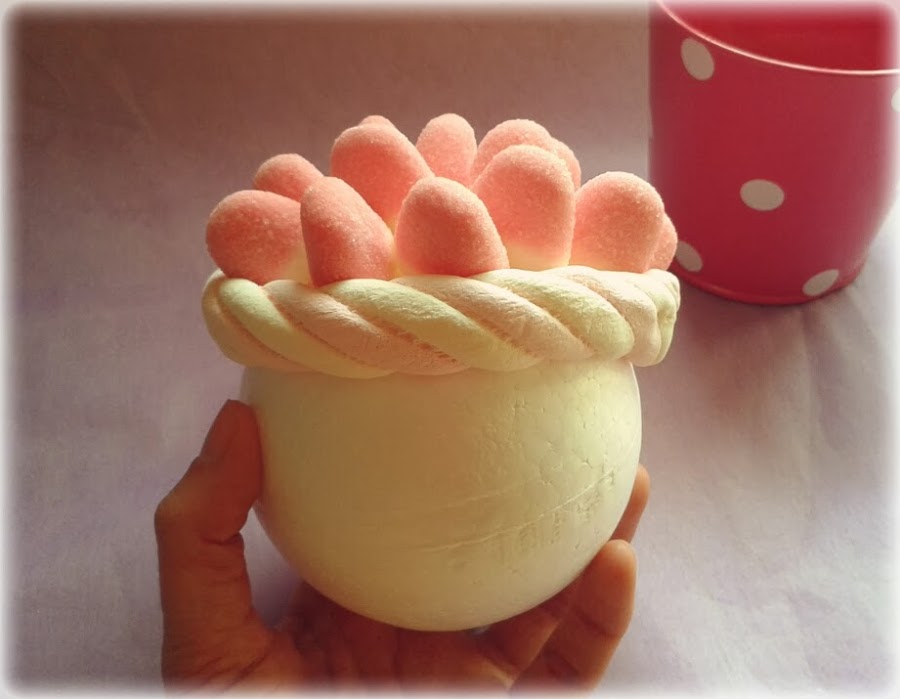 Maceta básica de chuches