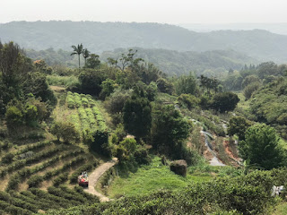 龍潭景點-大北坑休閒農業區-疫情期間少了人潮、多了恬靜自在