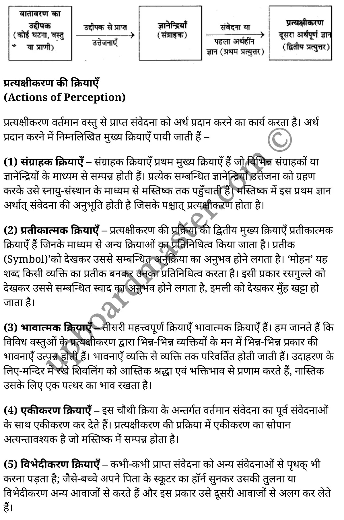 कक्षा 11 मनोविज्ञान सामान्य मनोविज्ञान अध्याय 6 के नोट्स हिंदी में एनसीईआरटी समाधान, class 11 Psychology chapter 6, class 11 Psychology chapter 6 ncert solutions in Psychology, class 11 Psychology chapter 6 notes in hindi, class 11 Psychology chapter 6 question answer, class 11 Psychology chapter 6 notes, class 11 Psychology chapter 6 class 11 Psychology chapter 6 in hindi, class 11 Psychology chapter 6 important questions in hindi, class 11 Psychology hindi chapter 6 notes in hindi, class 11 Psychology chapter 6 test, class 11 Psychology chapter 6 class 11 Psychology chapter 6 pdf, class 11 Psychology chapter 6 notes pdf, class 11 Psychology chapter 6 exercise solutions, class 11 Psychology chapter 6, class 11 Psychology chapter 6 notes study rankers, class 11 Psychology chapter 6 notes, class 11 Psychology hindi chapter 6 notes, class 11 Psychology chapter 6 class 11 notes pdf, class 11 Psychology chapter 6 class 11 notes ncert, class 11 Psychology chapter 6 class 11 pdf, class 11 Psychology chapter 6 book, class 11 Psychology chapter 6 quiz class 11 , 11 th class 11 Psychology chapter 6 book up board, up board 11 th class 11 Psychology chapter 6 notes, class 11 Psychology General psychology chapter 6, class 11 Psychology General psychology chapter 6 ncert solutions in Psychology, class 11 Psychology General psychology chapter 6 notes in hindi, class 11 Psychology General psychology chapter 6 question answer, class 11 Psychology General psychology chapter 6 notes, class 11 Psychology General psychology chapter 6 class 11 Psychology chapter 6 in hindi, class 11 Psychology General psychology chapter 6 important questions in hindi, class 11 Psychology General psychology chapter 6 notes in hindi, class 11 Psychology General psychology chapter 6 test, class 11 Psychology General psychology chapter 6 class 11 Psychology chapter 6 pdf, class 11 Psychology General psychology chapter 6 notes pdf, class 11 Psychology General psychology chapter 6 exercise solutions, class 11 Psychology General psychology chapter 6, class 11 Psychology General psychology chapter 6 notes study rankers, class 11 Psychology General psychology chapter 6 notes, class 11 Psychology General psychology chapter 6 notes, class 11 Psychology General psychology chapter 6 class 11 notes pdf, class 11 Psychology General psychology chapter 6 class 11 notes ncert, class 11 Psychology General psychology chapter 6 class 11 pdf, class 11 Psychology General psychology chapter 6 book, class 11 Psychology General psychology chapter 6 quiz class 11 , 11 th class 11 Psychology General psychology chapter 6 book up board, up board 11 th class 11 Psychology General psychology chapter 6 notes, कक्षा 11 मनोविज्ञान अध्याय 6 , कक्षा 11 मनोविज्ञान, कक्षा 11 मनोविज्ञान अध्याय 6 के नोट्स हिंदी में, कक्षा 11 का मनोविज्ञान अध्याय 6 का प्रश्न उत्तर, कक्षा 11 मनोविज्ञान अध्याय 6 के नोट्स, 11 कक्षा मनोविज्ञान 1 हिंदी में, कक्षा 11 मनोविज्ञान अध्याय 6 हिंदी में, कक्षा 11 मनोविज्ञान अध्याय 6 महत्वपूर्ण प्रश्न हिंदी में, कक्षा 11 हिंदी के नोट्स हिंदी में, मनोविज्ञान हिंदी कक्षा 11 नोट्स pdf, मनोविज्ञान हिंदी कक्षा 11 नोट्स 2021 ncert, मनोविज्ञान हिंदी कक्षा 11 pdf, मनोविज्ञान हिंदी पुस्तक, मनोविज्ञान हिंदी की बुक, मनोविज्ञान हिंदी प्रश्नोत्तरी class 11 , 11 वीं मनोविज्ञान पुस्तक up board, बिहार बोर्ड 11 पुस्तक वीं मनोविज्ञान नोट्स, मनोविज्ञान कक्षा 11 नोट्स 2021 ncert, मनोविज्ञान कक्षा 11 pdf, मनोविज्ञान पुस्तक, मनोविज्ञान की बुक, मनोविज्ञान प्रश्नोत्तरी class 11, कक्षा 11 मनोविज्ञान सामान्य मनोविज्ञान अध्याय 6 , कक्षा 11 मनोविज्ञान सामान्य मनोविज्ञान, कक्षा 11 मनोविज्ञान सामान्य मनोविज्ञान अध्याय 6 के नोट्स हिंदी में, कक्षा 11 का मनोविज्ञान सामान्य मनोविज्ञान अध्याय 6 का प्रश्न उत्तर, कक्षा 11 मनोविज्ञान सामान्य मनोविज्ञान अध्याय 6 के नोट्स, 11 कक्षा मनोविज्ञान सामान्य मनोविज्ञान 1 हिंदी में, कक्षा 11 मनोविज्ञान सामान्य मनोविज्ञान अध्याय 6 हिंदी में, कक्षा 11 मनोविज्ञान सामान्य मनोविज्ञान अध्याय 6 महत्वपूर्ण प्रश्न हिंदी में, कक्षा 11 मनोविज्ञान सामान्य मनोविज्ञान हिंदी के नोट्स हिंदी में, मनोविज्ञान सामान्य मनोविज्ञान हिंदी कक्षा 11 नोट्स pdf, मनोविज्ञान सामान्य मनोविज्ञान हिंदी कक्षा 11 नोट्स 2021 ncert, मनोविज्ञान सामान्य मनोविज्ञान हिंदी कक्षा 11 pdf, मनोविज्ञान सामान्य मनोविज्ञान हिंदी पुस्तक, मनोविज्ञान सामान्य मनोविज्ञान हिंदी की बुक, मनोविज्ञान सामान्य मनोविज्ञान हिंदी प्रश्नोत्तरी class 11 , 11 वीं मनोविज्ञान सामान्य मनोविज्ञान पुस्तक up board, बिहार बोर्ड 11 पुस्तक वीं मनोविज्ञान नोट्स, मनोविज्ञान सामान्य मनोविज्ञान कक्षा 11 नोट्स 2021 ncert, मनोविज्ञान सामान्य मनोविज्ञान कक्षा 11 pdf, मनोविज्ञान सामान्य मनोविज्ञान पुस्तक, मनोविज्ञान सामान्य मनोविज्ञान की बुक, मनोविज्ञान सामान्य मनोविज्ञान प्रश्नोत्तरी class 11, 11th Psychology book in hindi, 11th Psychology notes in hindi, cbse books for class 11 , cbse books in hindi, cbse ncert books, class 11 Psychology notes in hindi, class 11 Psychology hindi ncert solutions, Psychology 2020, Psychology 2021,