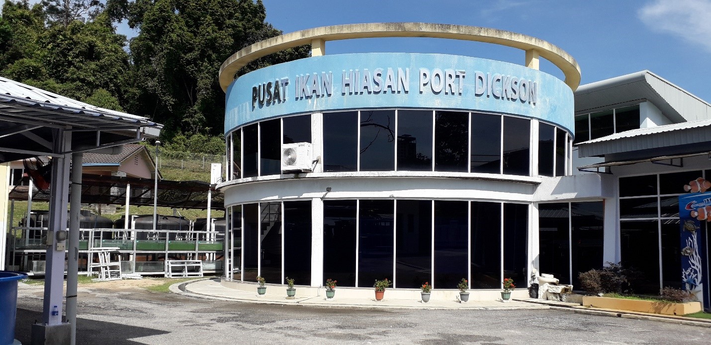 Pusat ikan hiasan port dickson