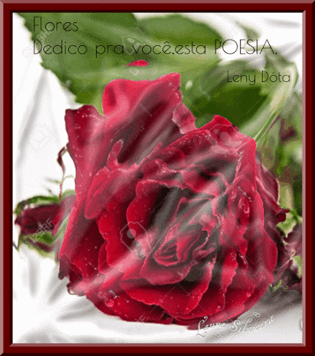 LAURA%252520SILVEIRA%252520GUIF.gif
