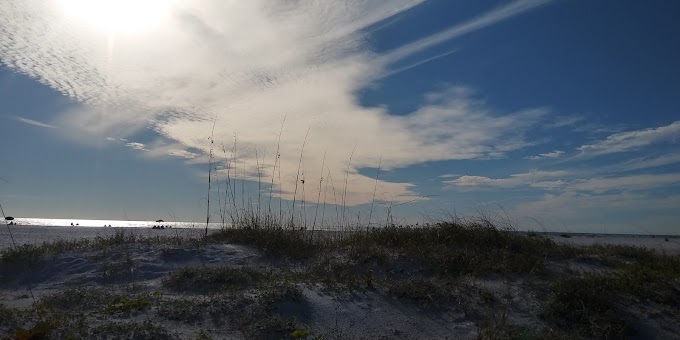 Above the Gulf Dunes 