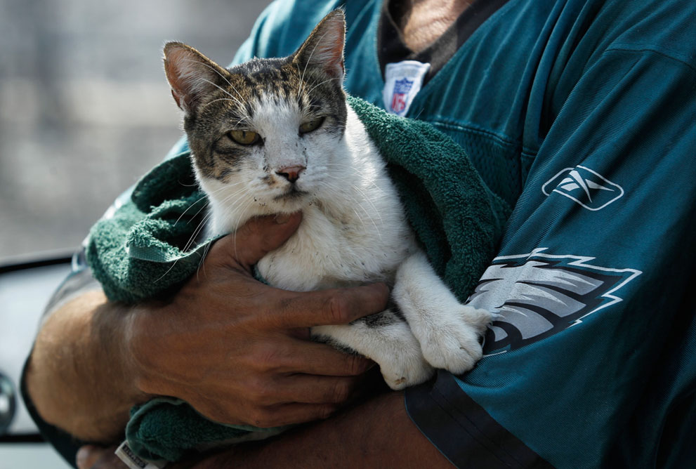 Кошечки спасают. Бездомный кот на руках. Добро кот. Спасение котов.