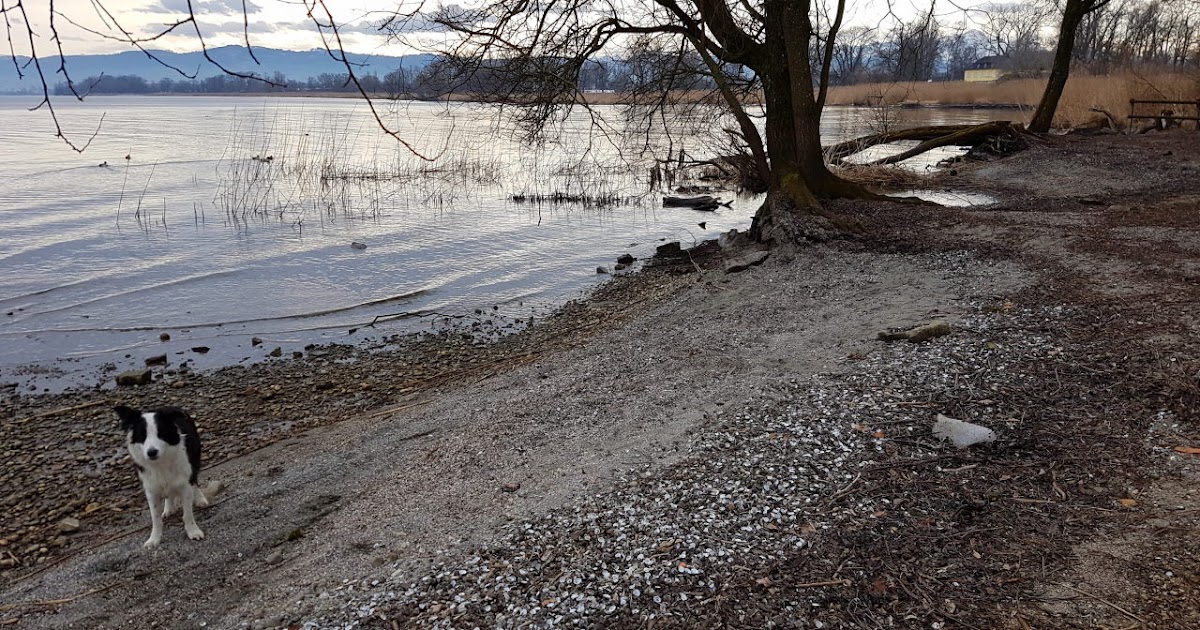 Bilder und Texte zu meinen Wanderungen mit Hund Wenigstens noch ein