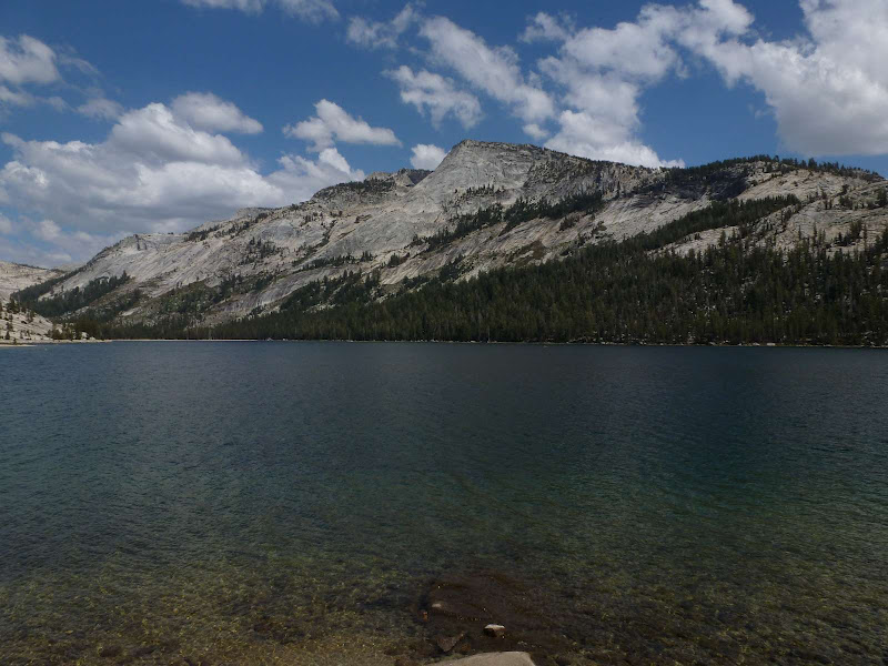 12: Jamestown - Yosemite - Driving me ... USA (23)