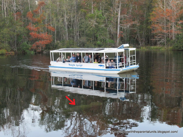 Keeping Up With The Parental Units: What Does Manatee Breath Smell Like?