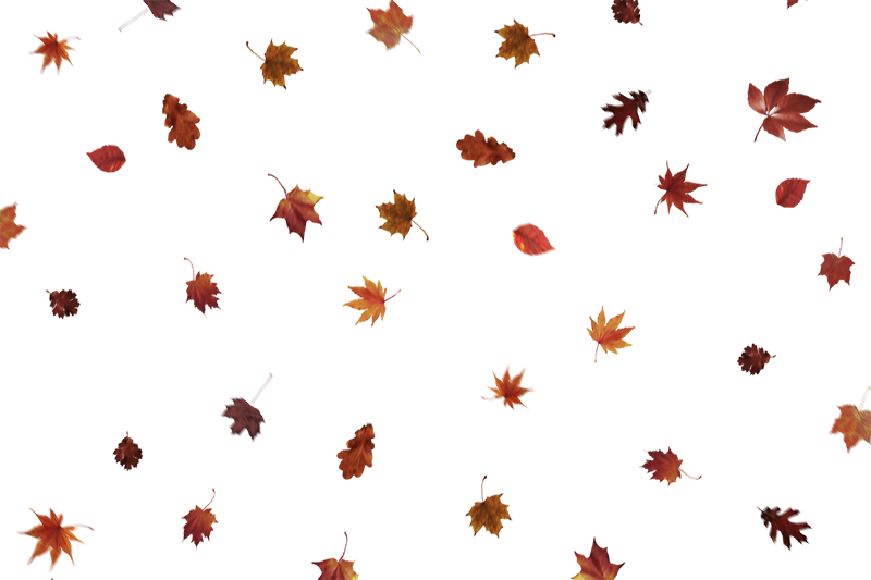 Best 10 Falling Leaves Overlays for Free Download Free