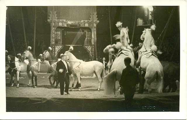 Friedrich Knie en piste avec ses chevaux 