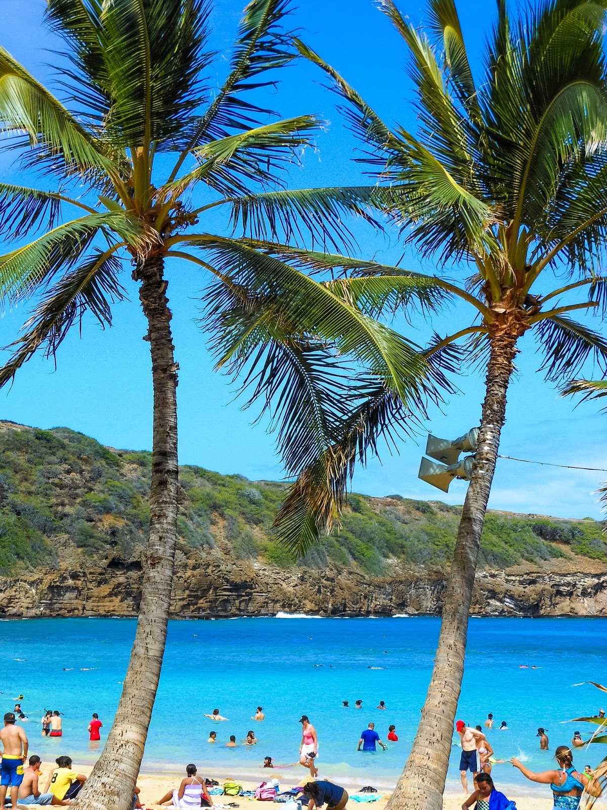 hanauma bay 
