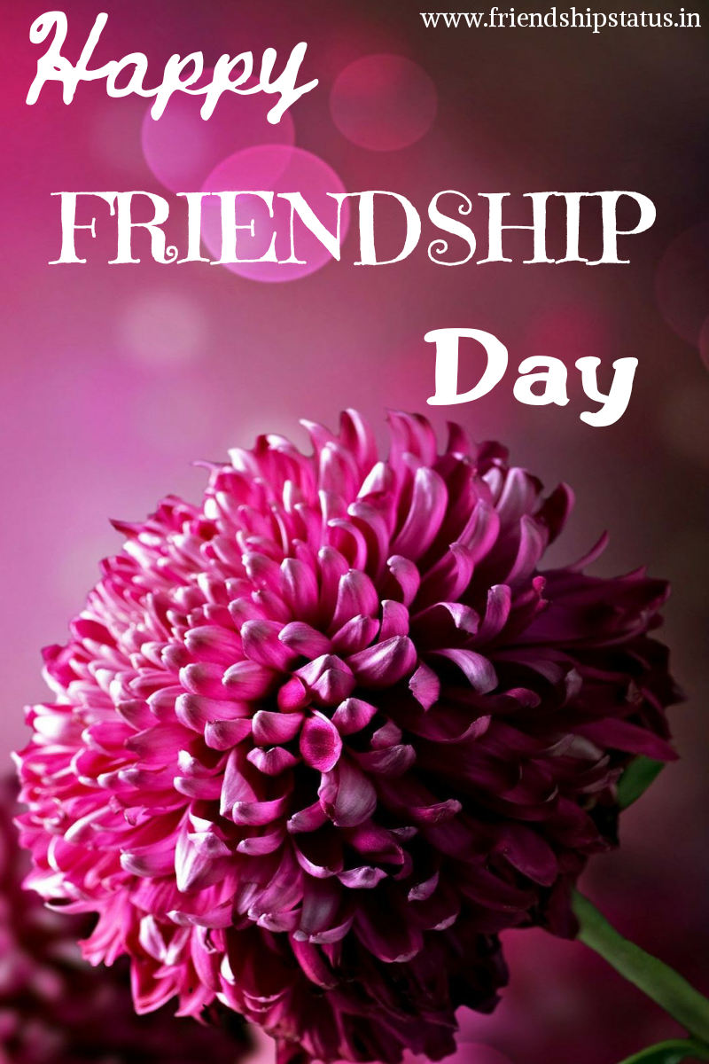 Best 20 Images for Happy Friendship Day Quotes