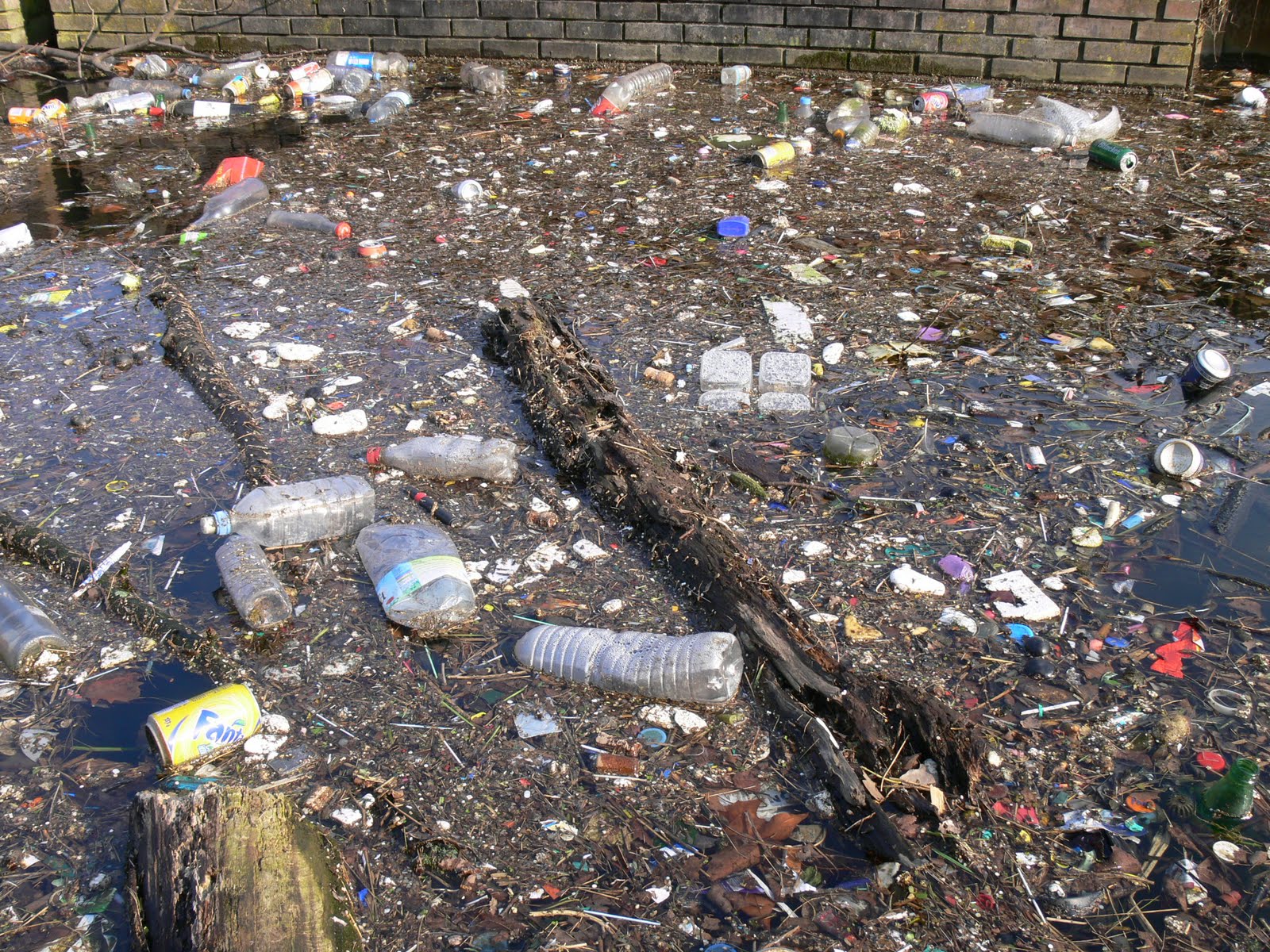Mikesenvironment Water Pollution