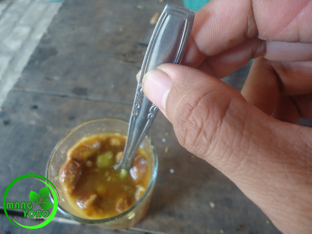 Cara Menyembuhkan Flu Atau Selesma Sariawan Dengan Asem Jawa