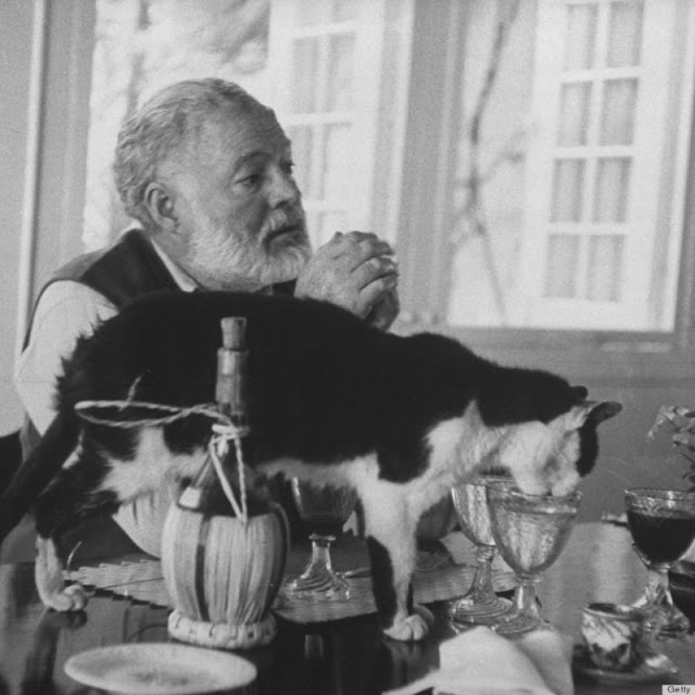 26 Interesting Vintage Photos of Ernest Hemingway With His Beloved Cats