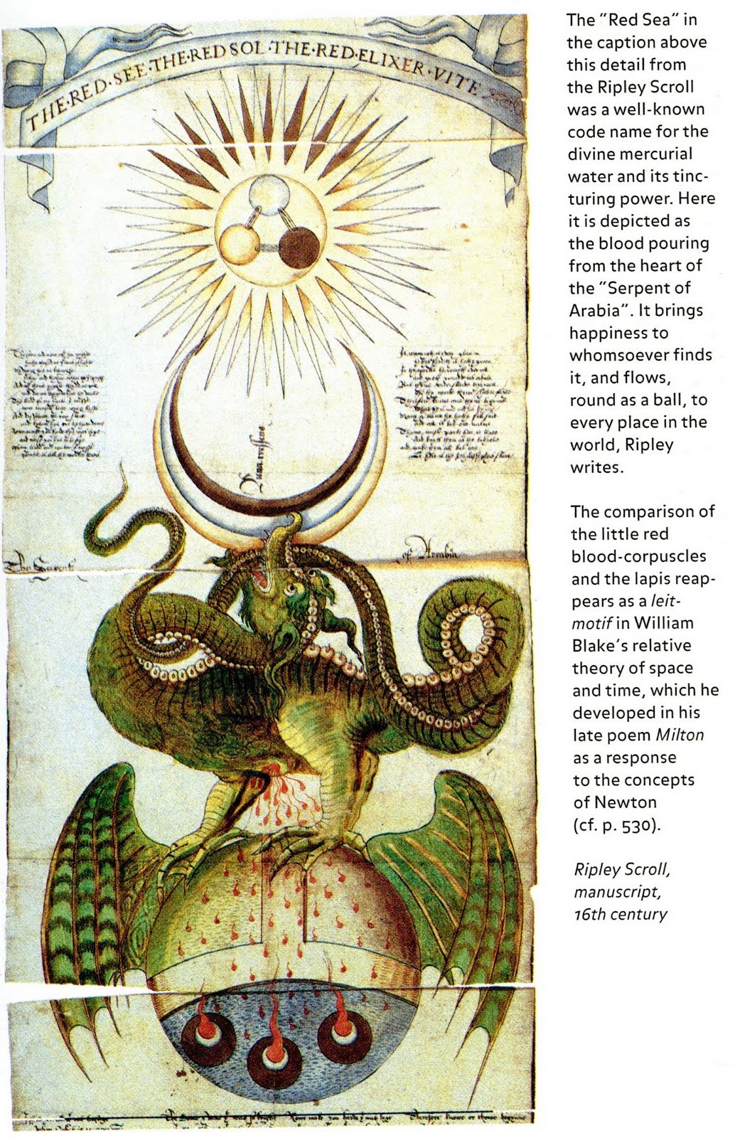 cityzenart Hermetic Museum I