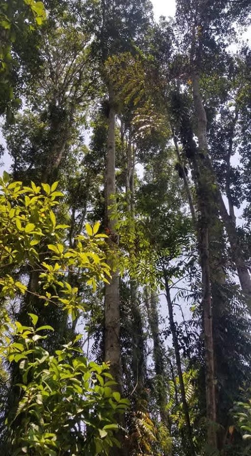 How the KanZaw Products are Manufactured