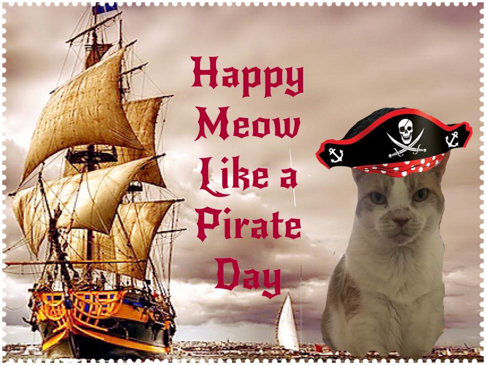 National Meow Like a Pirate Day