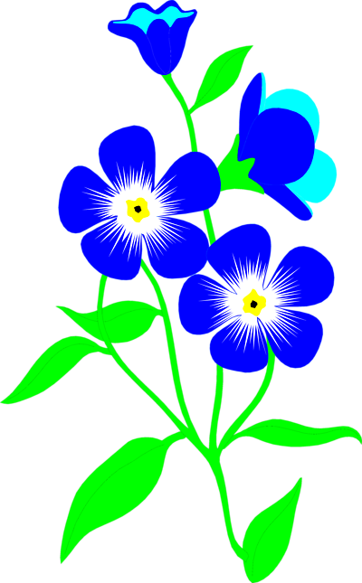 free clip art forget me not - photo #37
