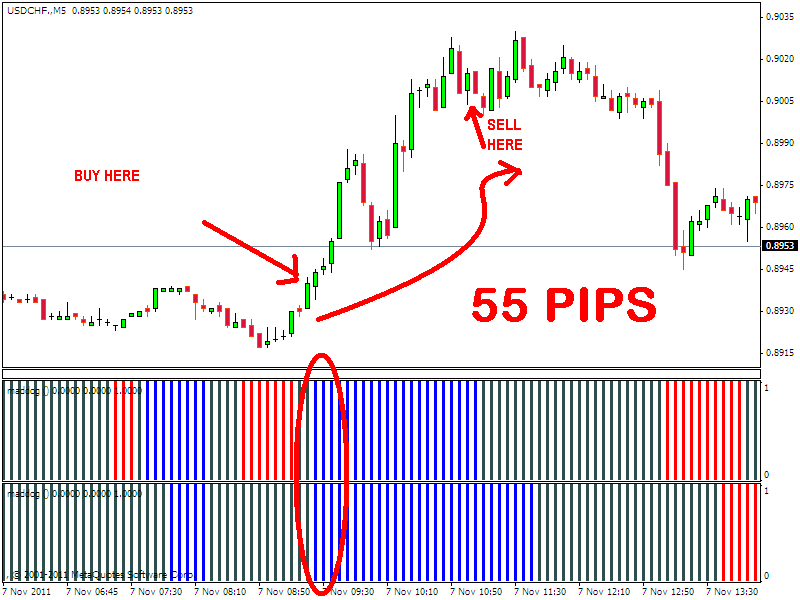 1 pep vs pip forex